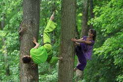 danse contemporaine  arbres geneviève mazin archanthrope Chamarande Essonne