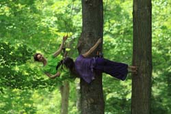 danse contemporaine  arbres geneviève mazin archanthrope Chamarande Essonne