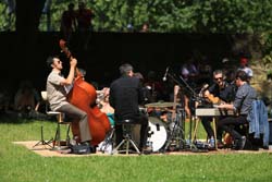 concert acoustique folk Santa Cruz Elvis Acapulco Chamarande Essonne